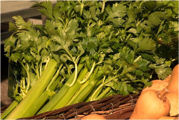 夢見數手指頭有什麼寓意嗎？_周公解夢官網