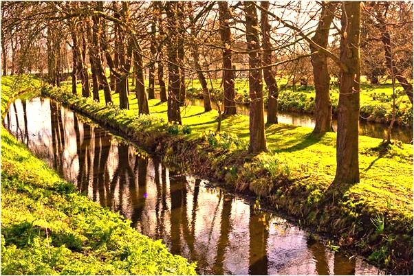 夢見同學給我兩百塊錢有什麼說法_周公解夢官網