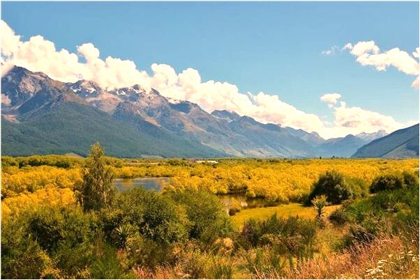 夢到蛇跟烏龜和魚預示著什麼_周公解夢官網