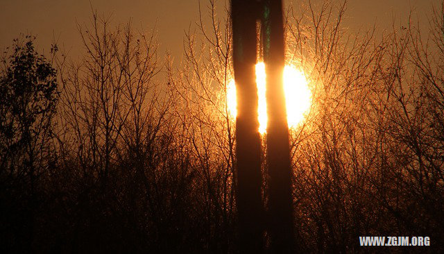 夢見龍跟自己說話了_周公解夢夢到龍跟自己說話了是什麼意思_做夢夢見龍跟自己說話了好不好_周公解夢官網