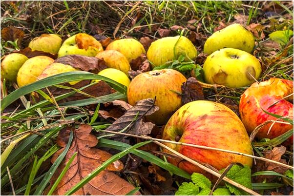 夢見屋內被盜是凶兆還是吉兆_周公解夢官網