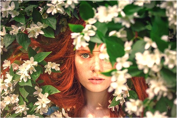 夢到了公雞頭啥意思_周公解夢官網