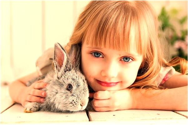 夢到很多老表們是好的徵兆嗎_周公解夢官網