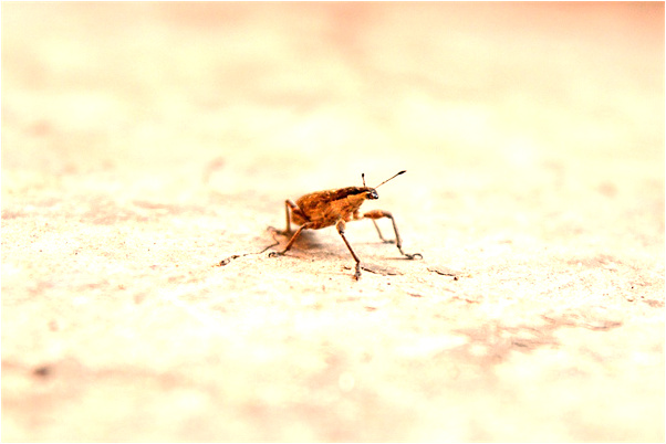 夢見追到異性朋友了代表著什麼_周公解夢官網