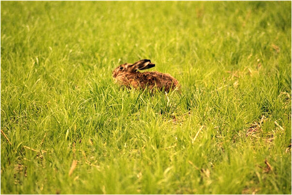 夢到有異性特意往我身上撞有什麼含義_周公解夢官網