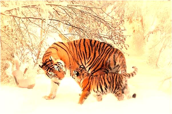 夢到前女友殺人是什麼徵兆_周公解夢官網