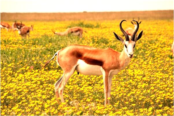 夢見水淹大橋有什麼意思_周公解夢官網