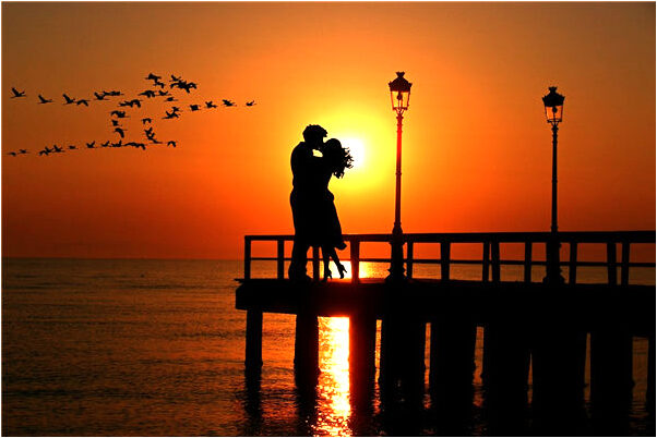 夢到在地里偷拔別人家的蔥預示什麼_周公解夢官網