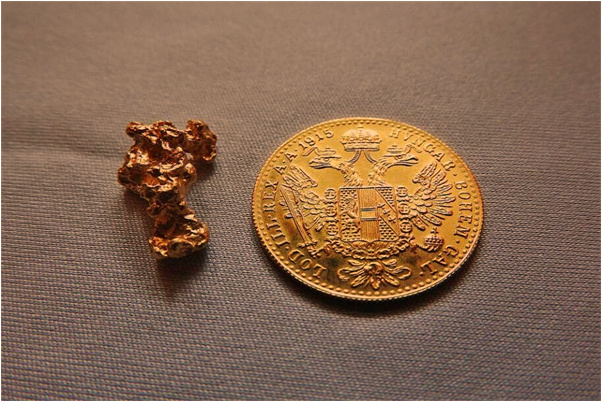 夢見黑色小雞破殼是什麼意思_周公解夢官網