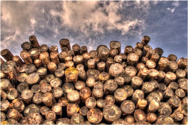 夢到女性露生殖器怎么樣_周公解夢官網