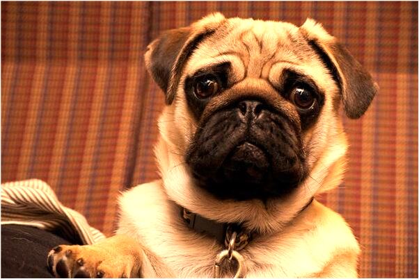 夢到和嬸嬸或者嫂子在做愛會怎么樣_周公解夢官網