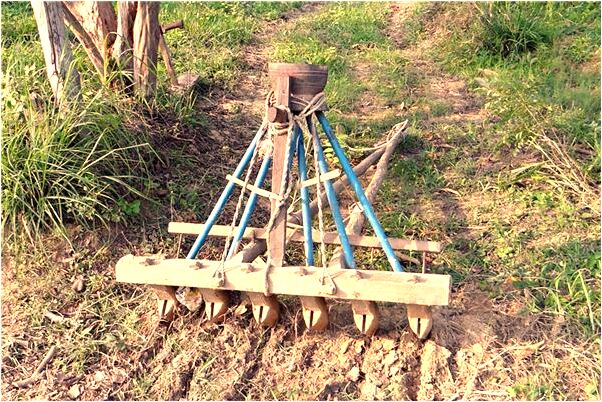 夢見男人脫光是不是好的徵兆呢_周公解夢官網