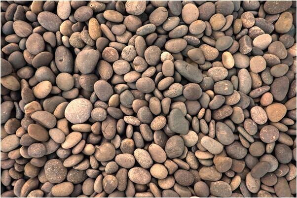 夢見跑不出去是什麼預兆_周公解夢官網