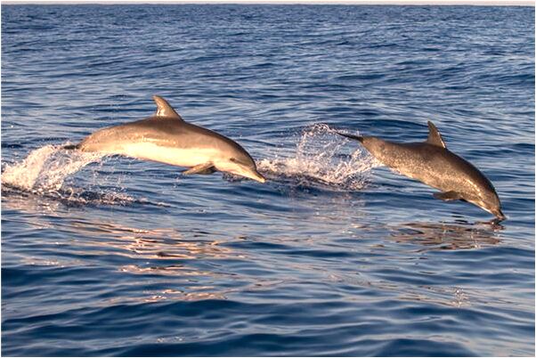 夢見給女人洗頭的預兆_周公解夢官網