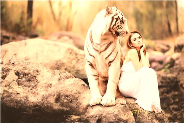 夢見兩條咬人的花蛇是什麼兆頭_周公解夢官網