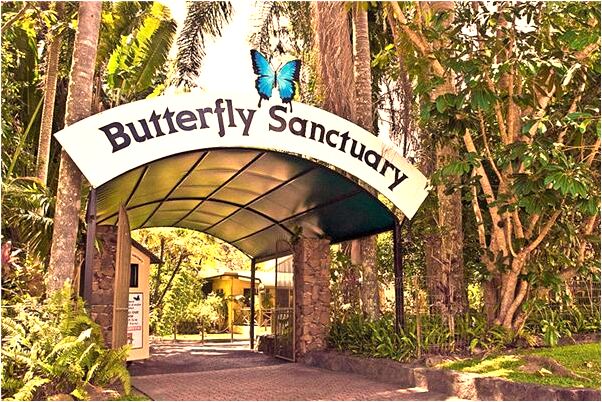 夢到水井下沉有什麼寓意嗎？_周公解夢官網