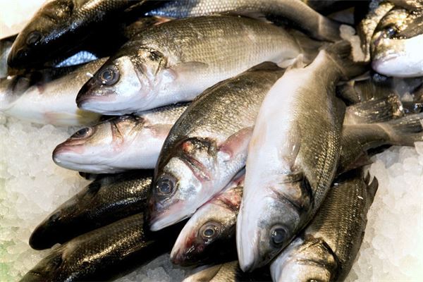 夢見死魚怎么化解_周公解夢