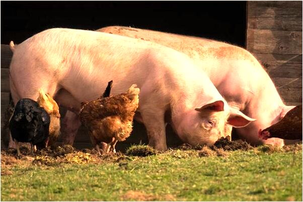 夢見媽媽手冰冷意味什麼_周公解夢官網