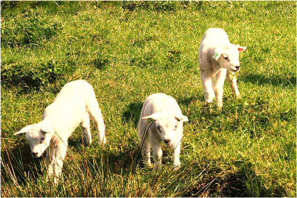 夢到連續兩天冷是什麼預兆?_周公解夢官網
