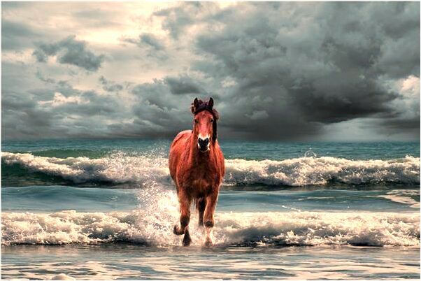 夢到被蟒蛇咬著不放是好事還是壞事_周公解夢官網