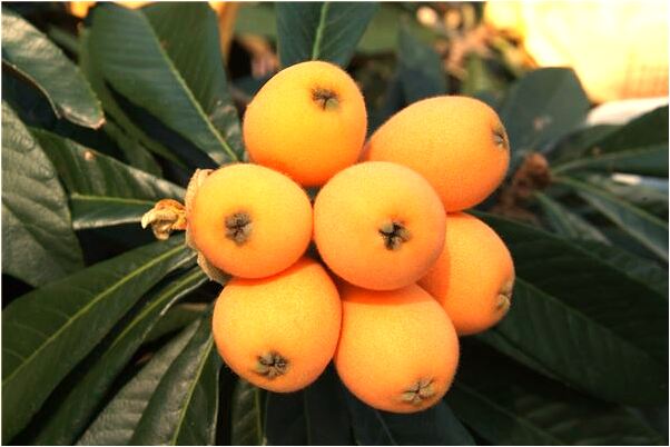 夢見和陌生和伙人分散是凶兆還是吉兆_周公解夢官網