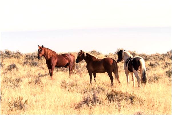 夢見沒出生的女兒預示著什麼_周公解夢官網