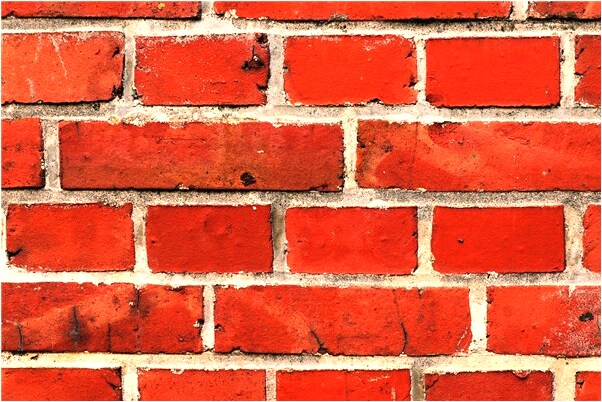 夢到了長尖嘴鳥啥意思_周公解夢官網