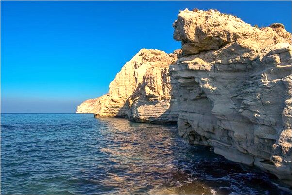 夢見自己買了很多百荷鮮花會是什麼預兆_周公解夢官網