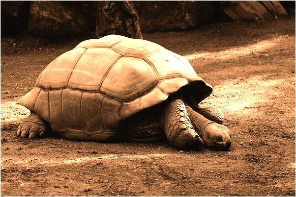 夢見前男友有新女友有什麼徵兆_周公解夢官網