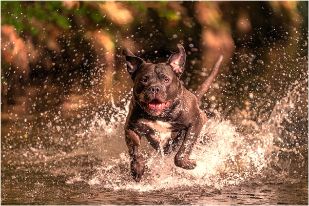 夢到了天空飄著花預兆了什麼嗎_周公解夢官網
