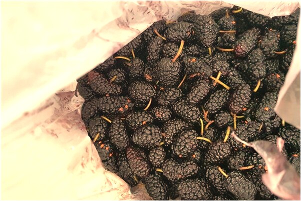 夢到跟夥伴一起玩耍會怎么樣_周公解夢官網