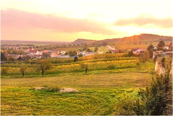 夢到我晾曬被褥突下大雨意味著什麼_周公解夢官網