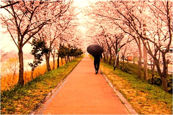 夢到抱著裸體的情人有什麼說法_周公解夢官網