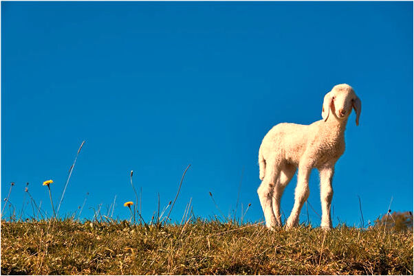 夢到差點被非禮怎么回事_周公解夢官網