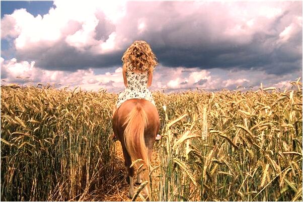 夢到了男朋友劈腿我和他分手是凶兆還是吉兆_周公解夢官網