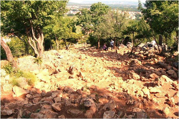 夢見堂弟生孩子是什麼意思？_周公解夢官網