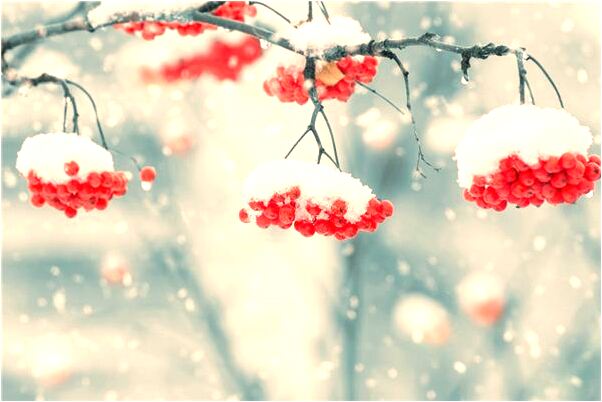 夢到毀滅和熊貓是怎么回事_周公解夢官網