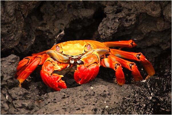 夢見母親眼睛出血什麼預兆_周公解夢官網