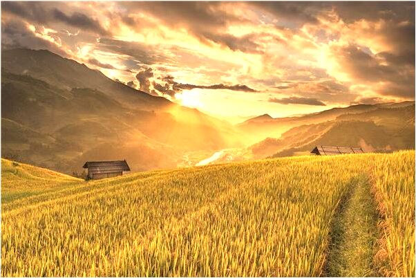 夢見地上全是蛋黃預兆了什麼嗎_周公解夢官網