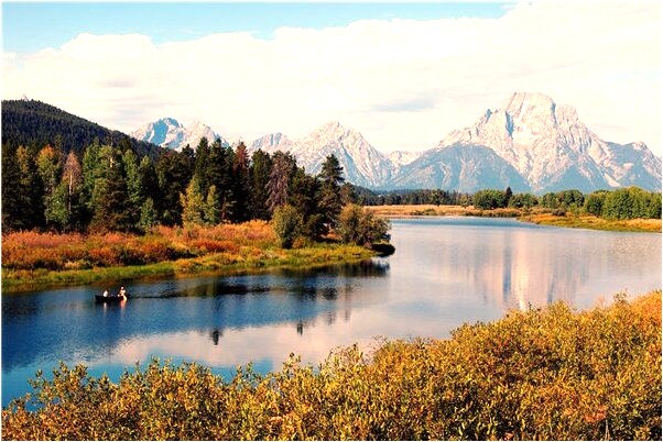 夢到了和小豬仔睡覺意味什麼_周公解夢官網