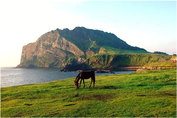 夢見親屬懷孕是不是好的徵兆呢_周公解夢官網