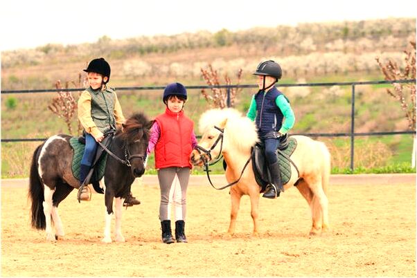 夢到了吃飯吃的好噌代表什麼_周公解夢官網