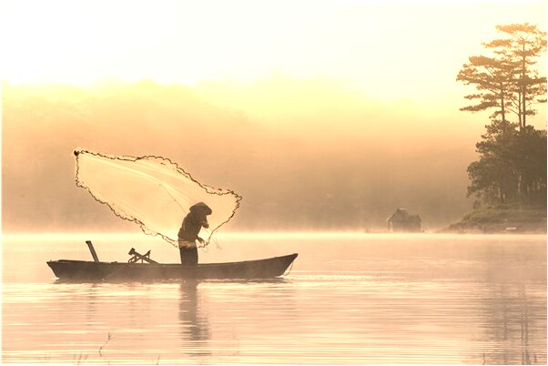 夢見摘別人家的橘子是咋回事_周公解夢官網