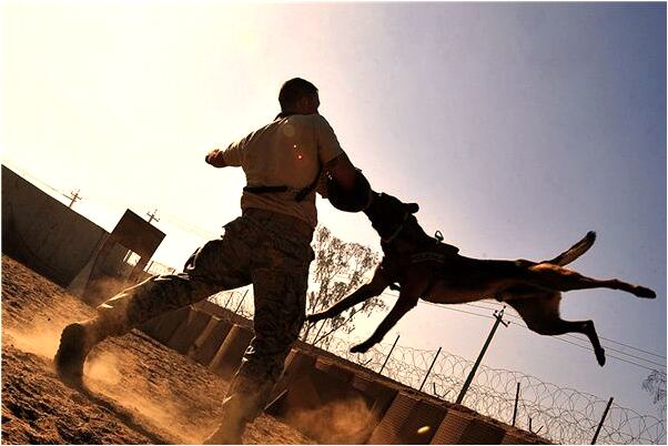 夢到女鬼白衣是凶兆還是吉兆_周公解夢官網