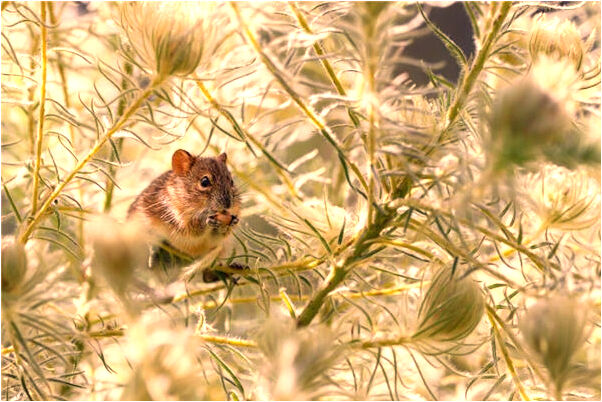 夢到自己被一男一女追害怕意味什麼_周公解夢官網