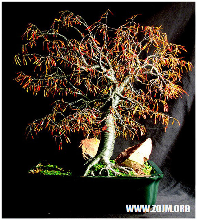 夢見動肚子開刀_周公解夢夢到動肚子開刀是什麼意思_做夢夢見動肚子開刀好不好_周公解夢官網