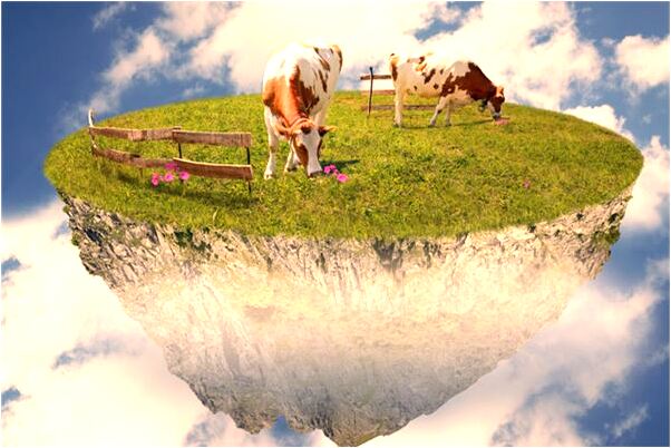 夢到房間裡有棵桃樹是啥預兆_周公解夢官網