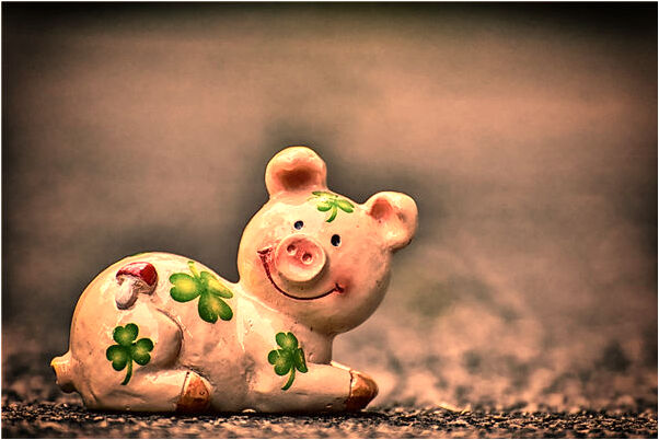 夢到別人的狗懷孕意味著什麼_周公解夢官網