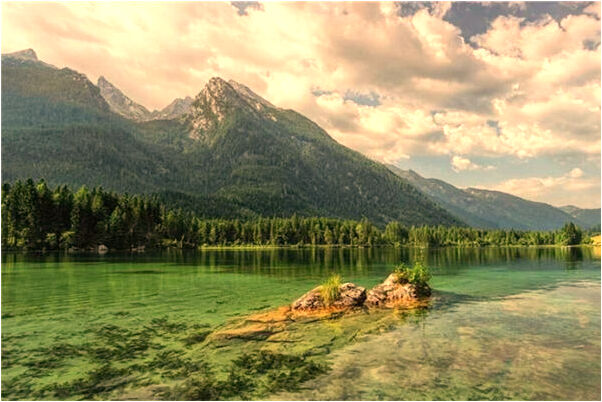 夢見在世的公公意味著什麼_周公解夢官網