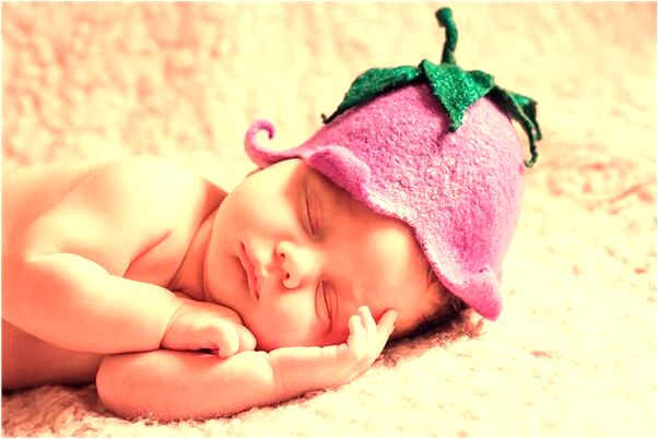 夢到了老雞養很多小雞是咋回事_周公解夢官網